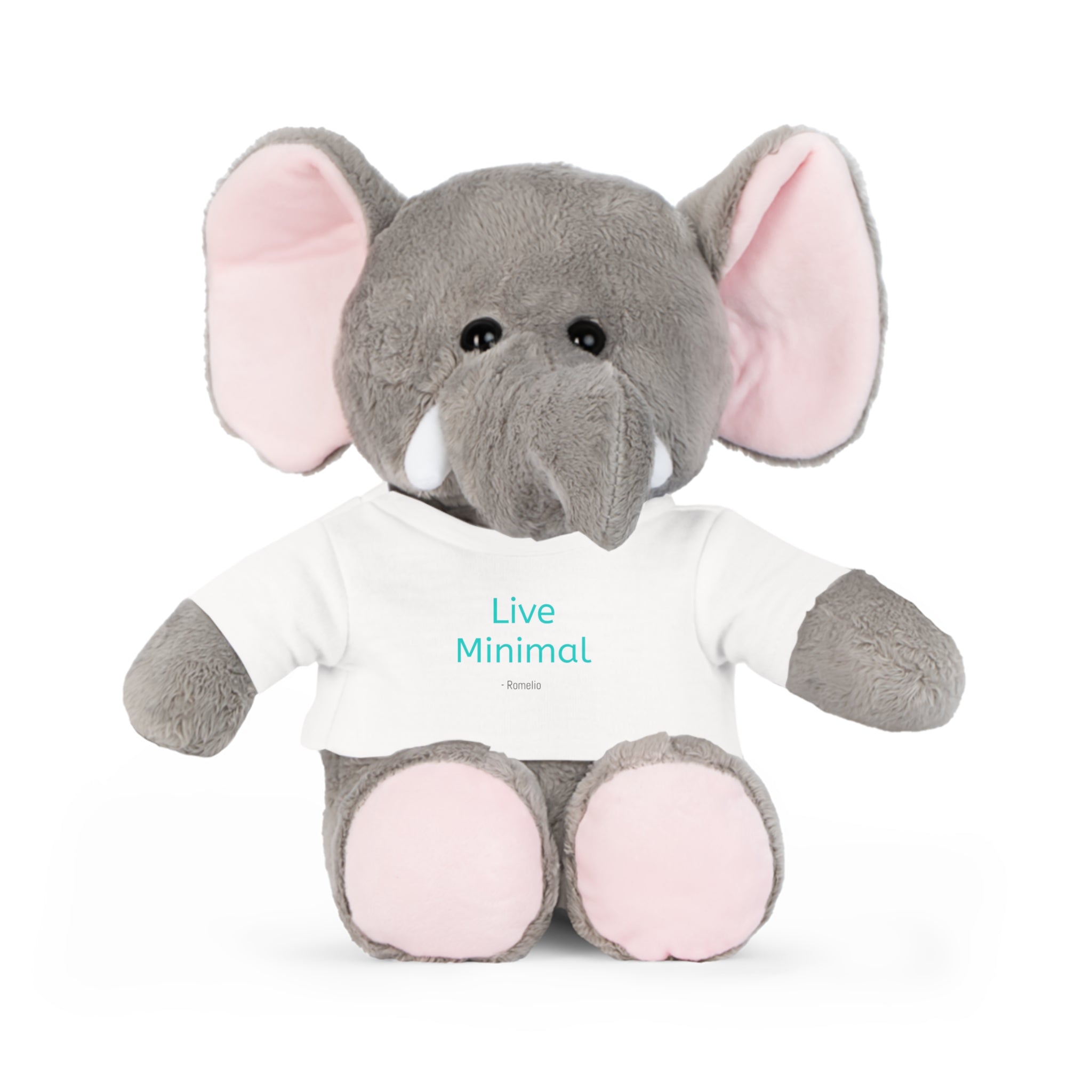 Copy of Bololong Bear -Romelio | Plush Toy with Personalized T‑Shirt